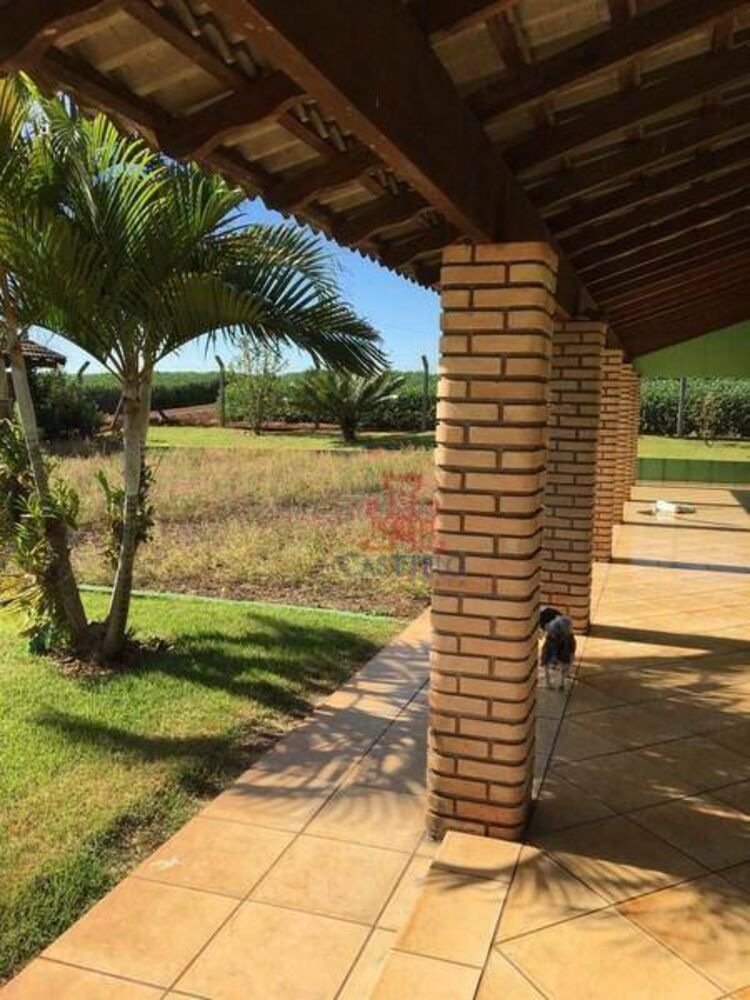 Sítio à venda com 3 quartos, 24200M2 - Foto 24