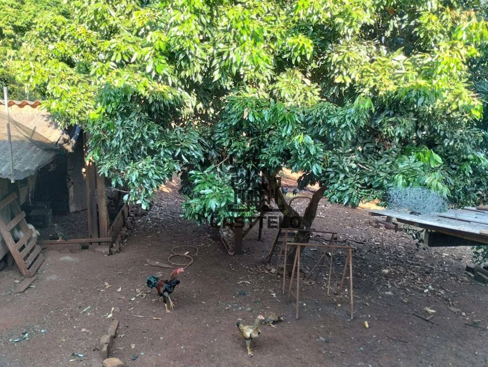 Chácara, 3 quartos, 2000 m² - Foto 12