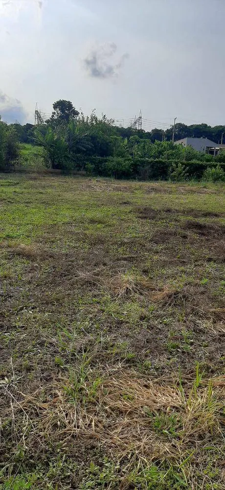 Chácara, 1 quarto, 1000 m² - Foto 5