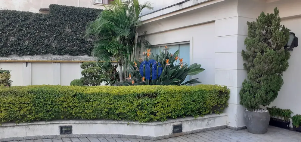 Apartamento, 2 quartos, 62 m² - Foto 13