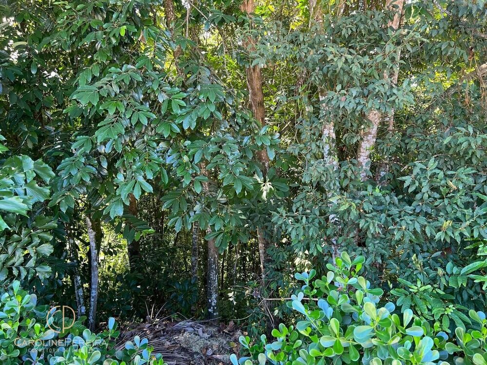 Terreno, 2160 m² - Foto 6
