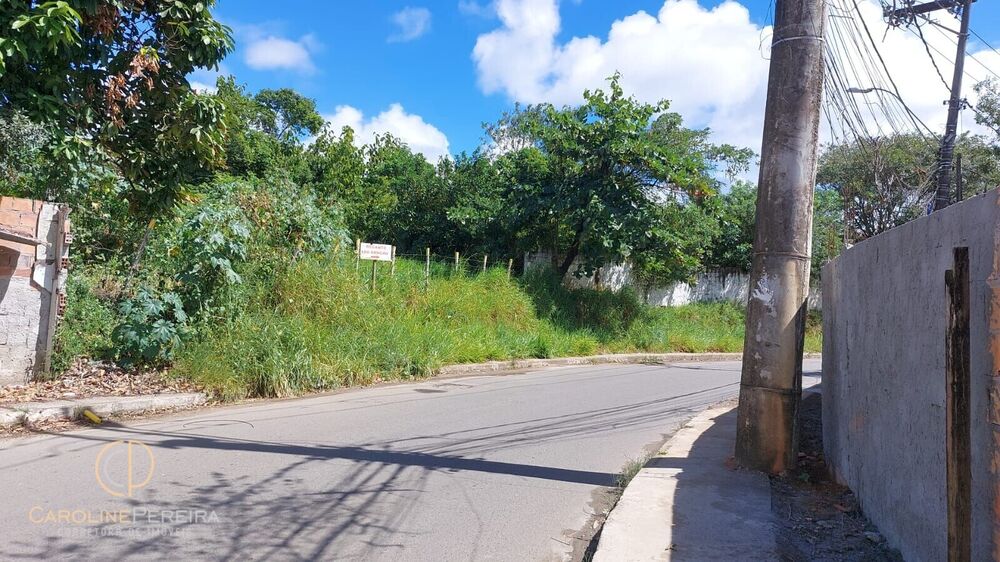 Terreno, 6700 m² - Foto 4