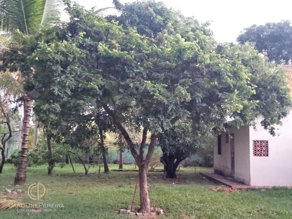 Casa, 4 quartos, 30 m² - Foto 4