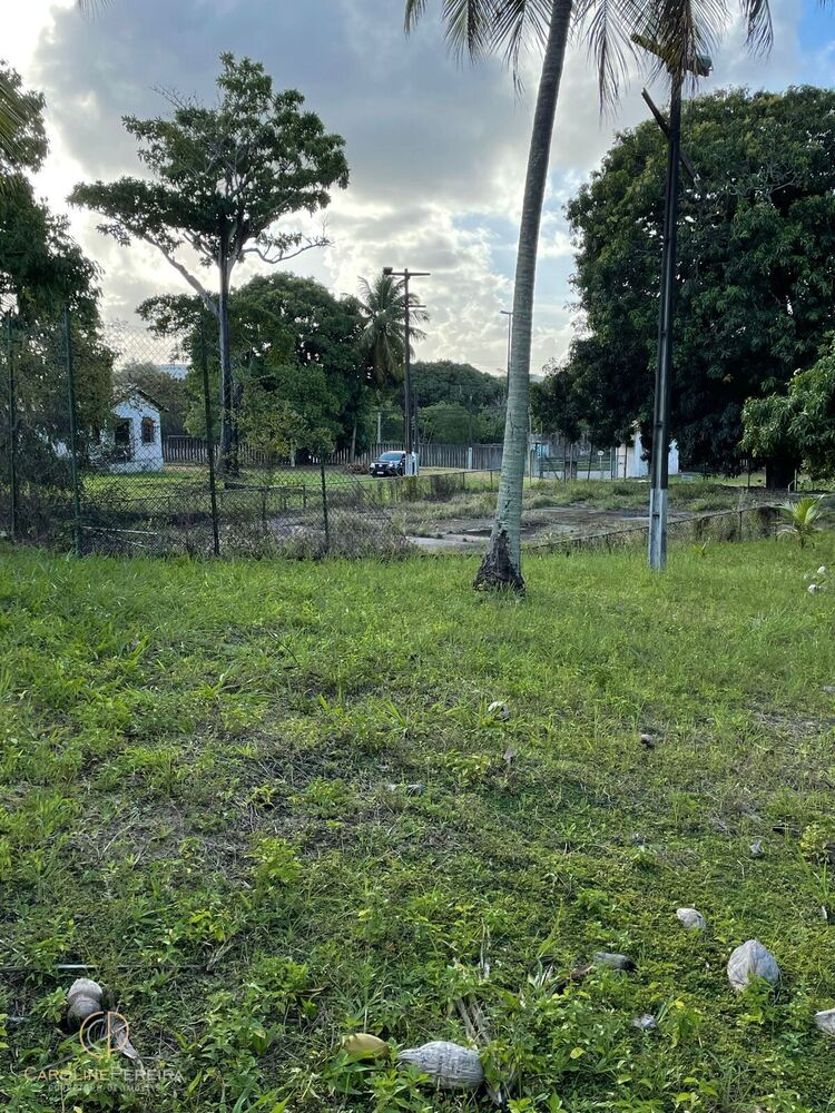 Terreno, 2 hectares - Foto 4