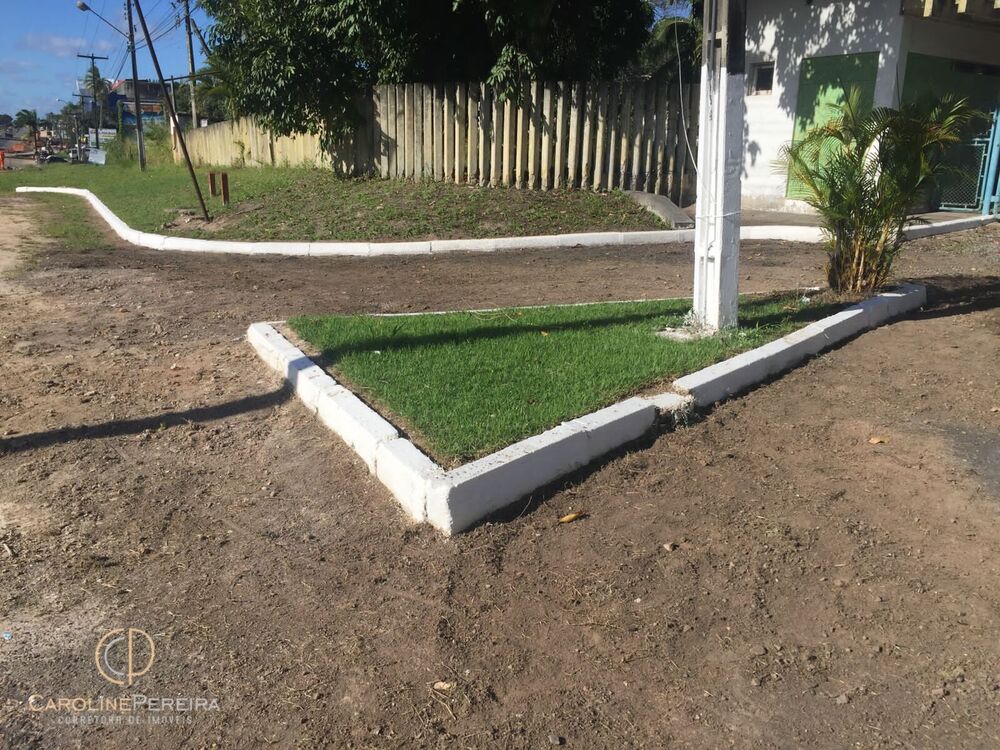 Terreno, 2 hectares - Foto 6