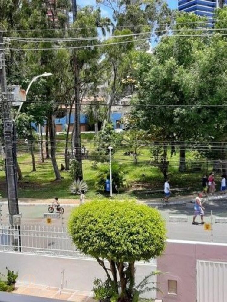Casa, 4 quartos, 300 m² - Foto 3