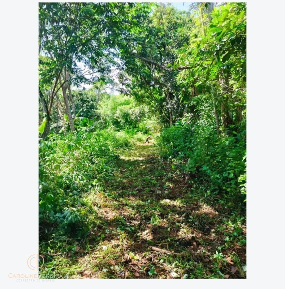 Terreno, 9000 m² - Foto 1