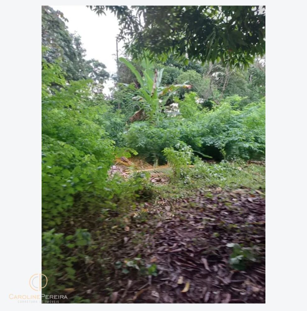 Terreno, 9000 m² - Foto 2