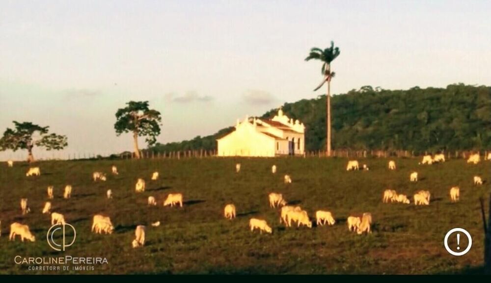 Fazenda, 8 quartos - Foto 5