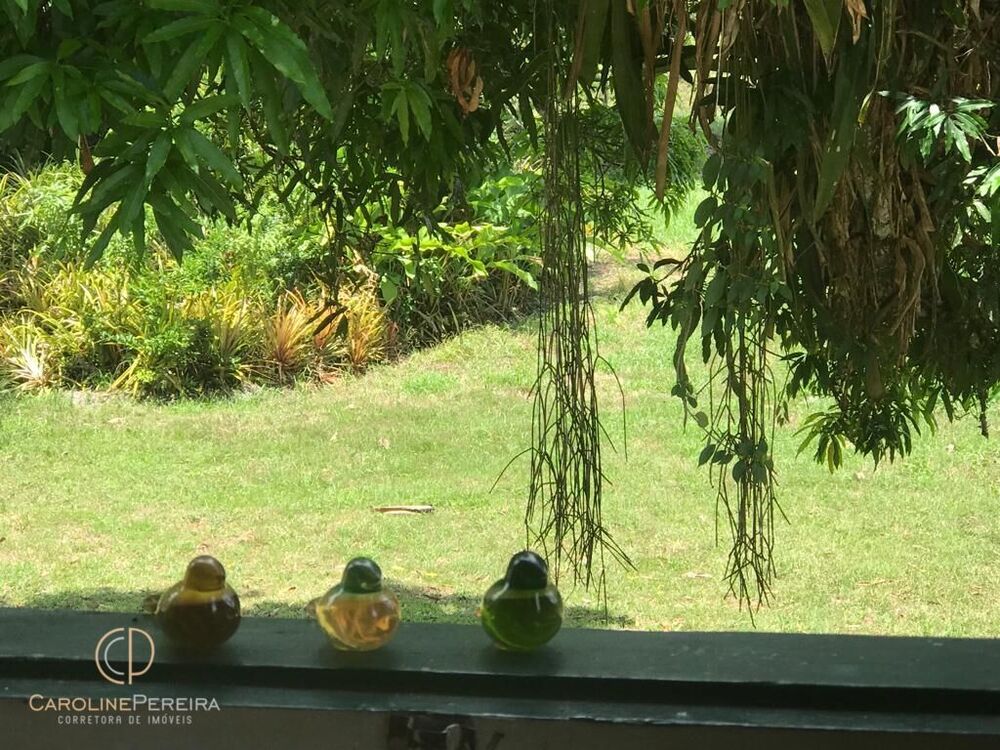 Fazenda, 8 quartos - Foto 1