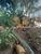 Terreno, 331 m² - Foto 3