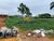 Terreno, 500 m² - Foto 2