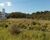 Terreno, 9900 m² - Foto 3