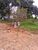Sítio, 7 quartos, 2 hectares - Foto 2