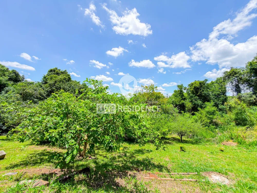 Terreno, 4 hectares - Foto 10