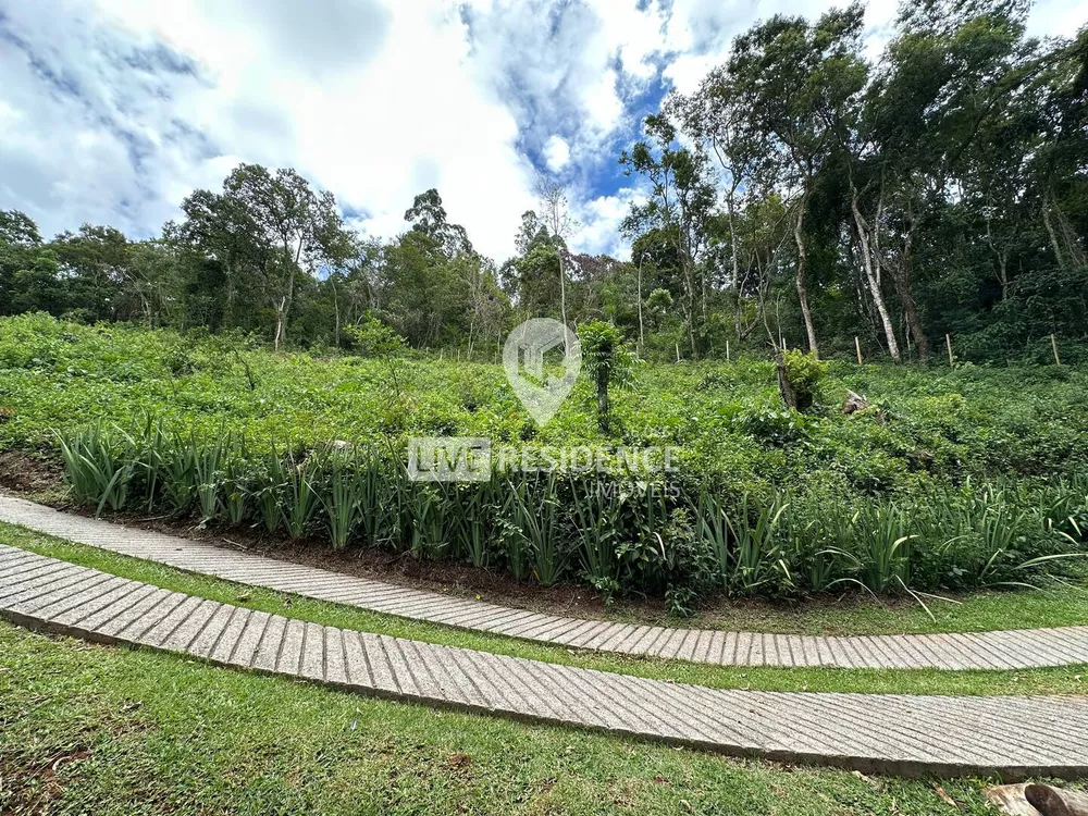 Terreno à venda, 2000m² - Foto 4