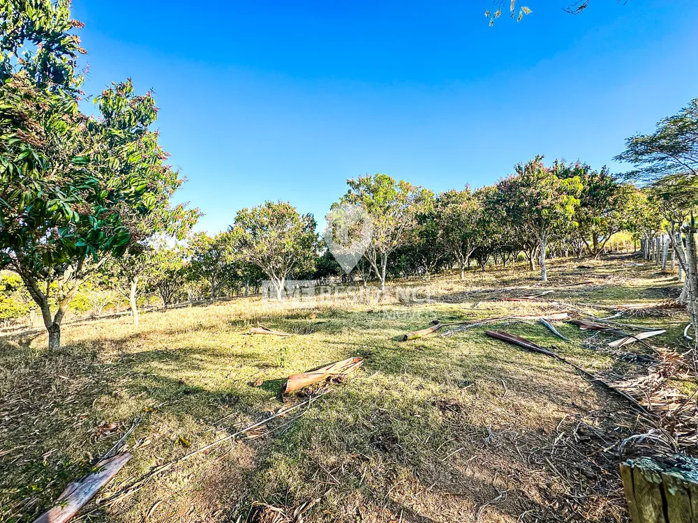 Sítio, 3 quartos, 4 hectares - Foto 8