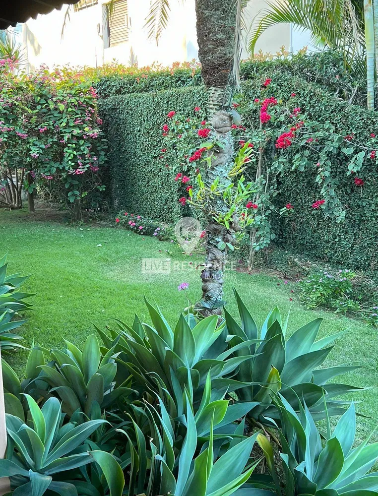 Casa, 3 quartos, 289 m² - Foto 6