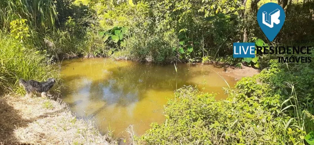 Fazenda à venda com 3 quartos, 350m² - Foto 1