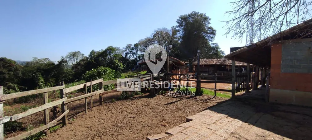Terreno, 3 hectares - Foto 11