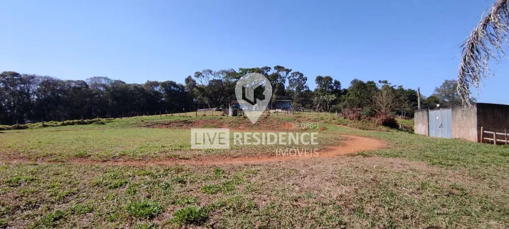 Terreno, 3 hectares - Foto 8