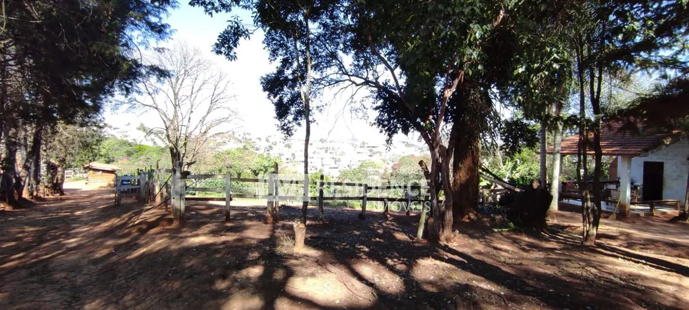 Terreno, 3 hectares - Foto 7