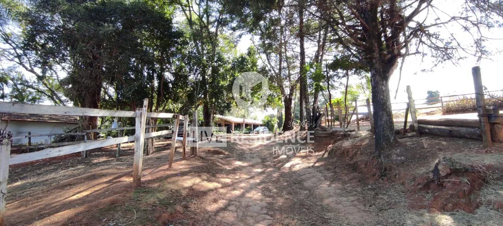 Terreno, 3 hectares - Foto 4