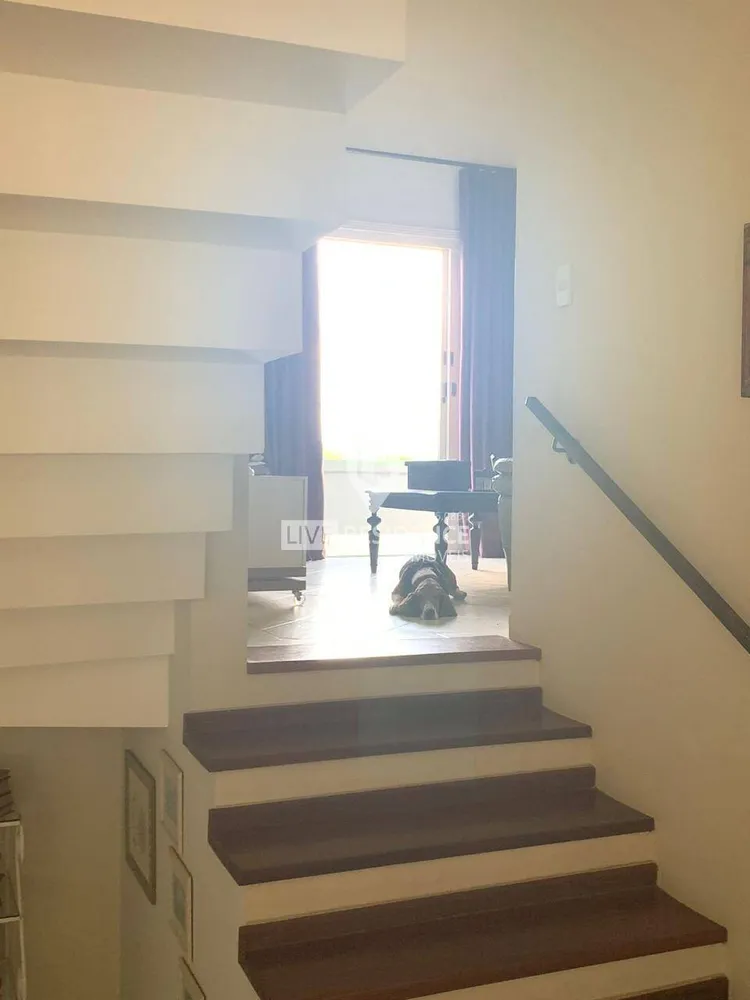 Casa, 3 quartos, 260 m² - Foto 12
