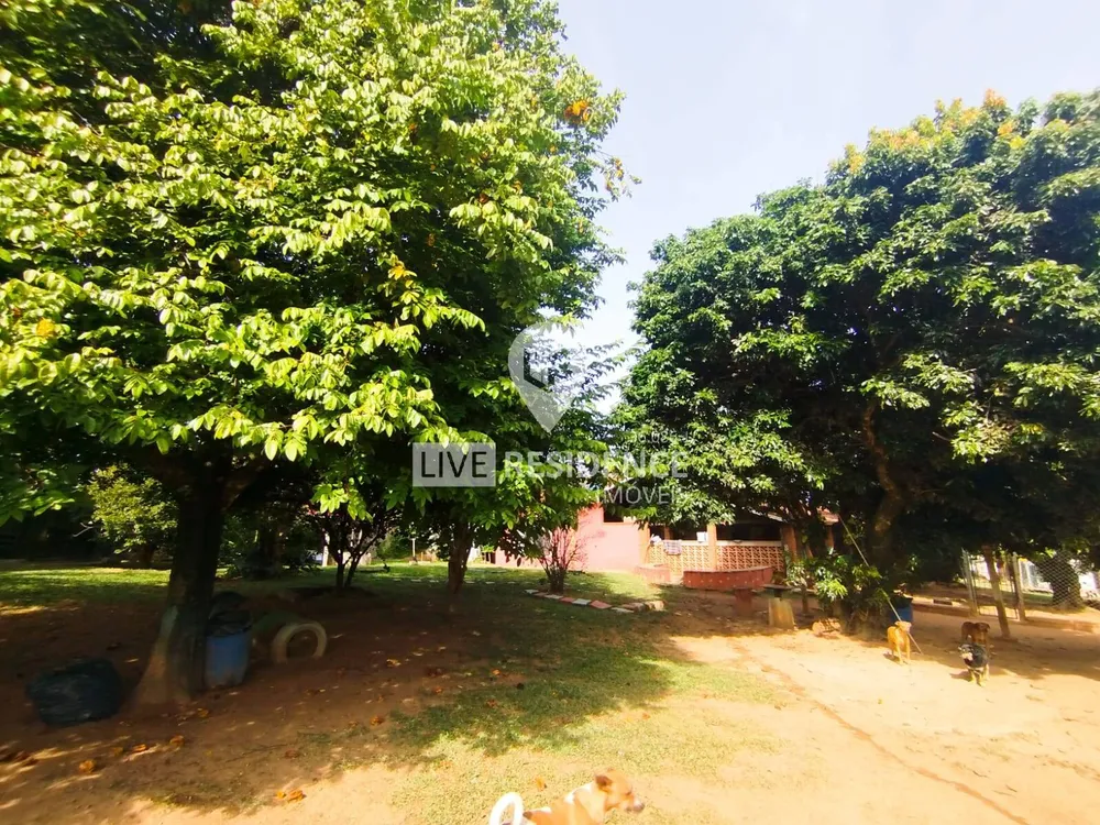 Casa, 5 quartos, 450 m² - Foto 4