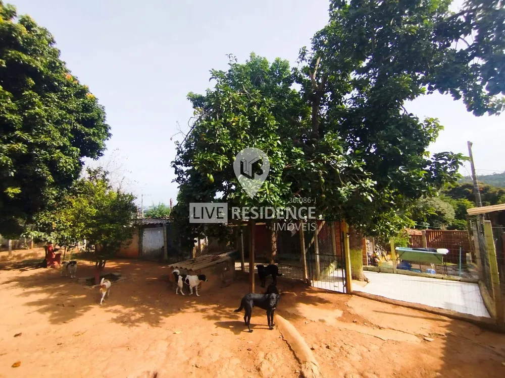 Casa, 5 quartos, 450 m² - Foto 6