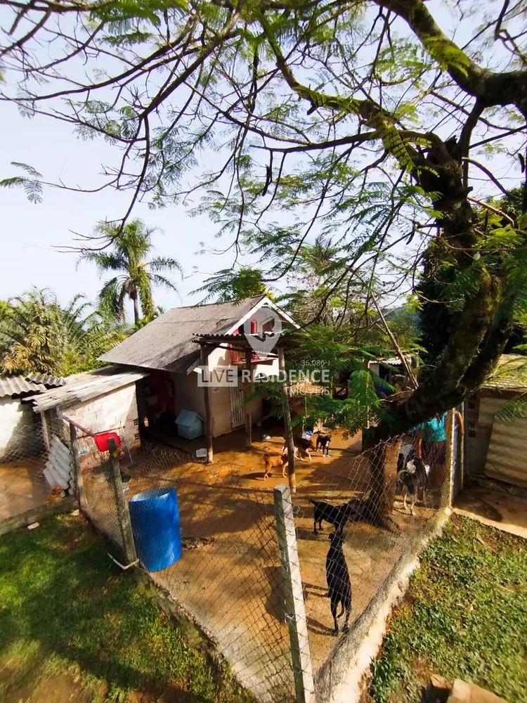 Casa, 5 quartos, 450 m² - Foto 12