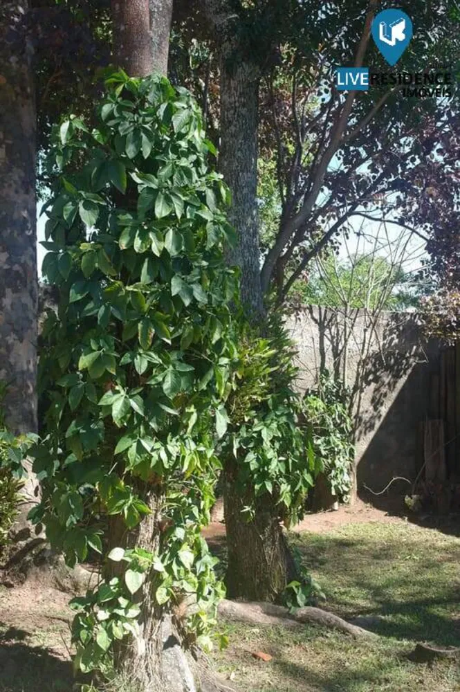 Casa, 3 quartos, 500 m² - Foto 7