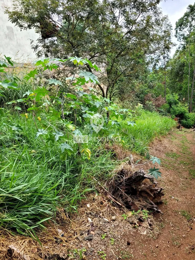 Terreno, 250 m² - Foto 3