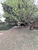 Casa, 3 quartos, 281 m² - Foto 2
