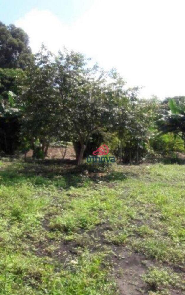 Terreno, 6000 m² - Foto 4