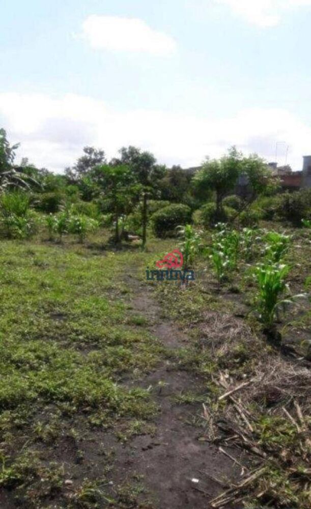 Terreno, 6000 m² - Foto 3