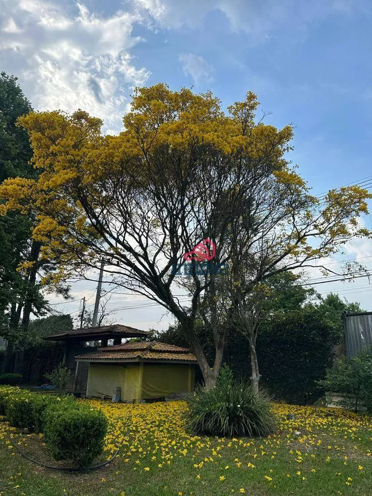 Chácara à venda com 4 quartos, 4500M2 - Foto 2