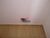 Apartamento, 3 quartos, 70 m² - Foto 11