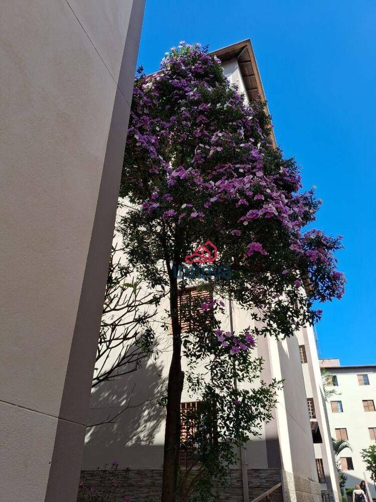 Apartamento, 2 quartos, 50 m² - Foto 4