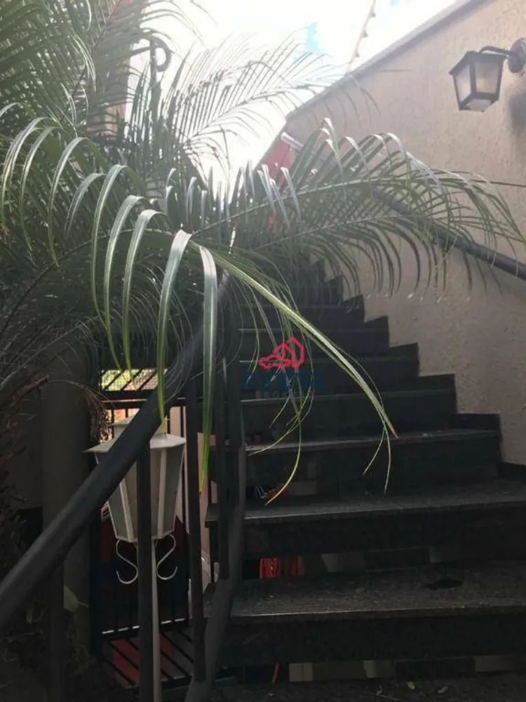 Casa, 3 quartos, 375 m² - Foto 4