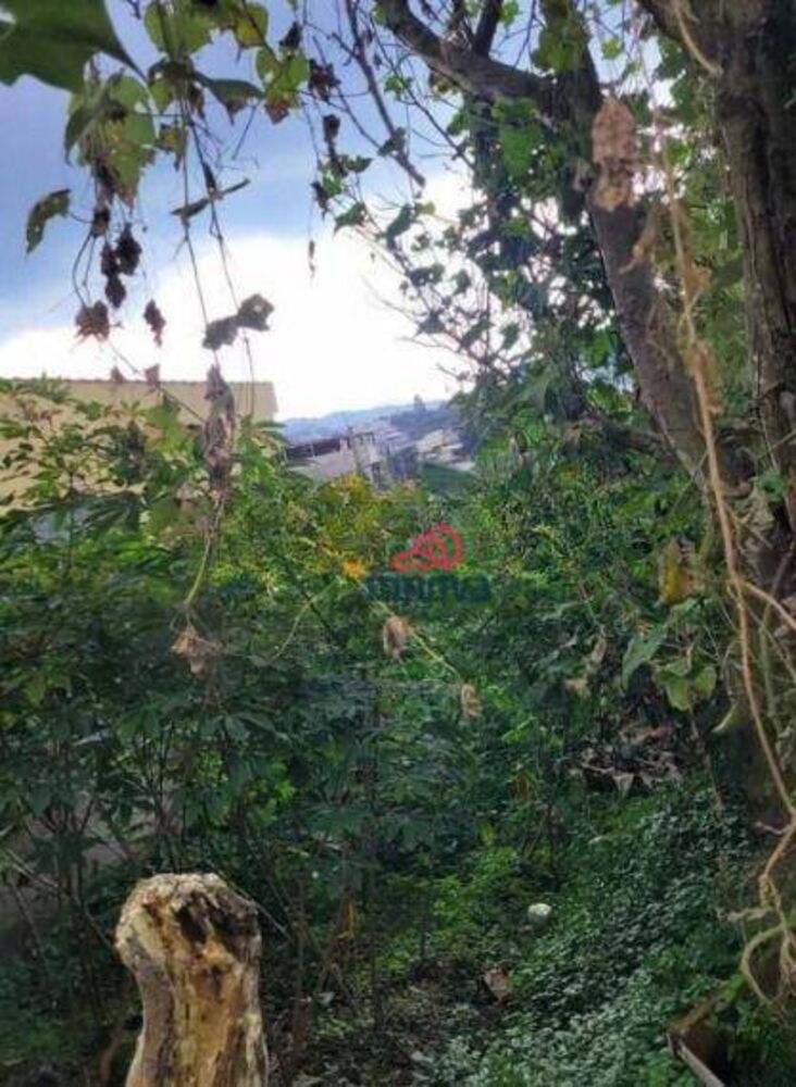 Terreno, 200 m² - Foto 10