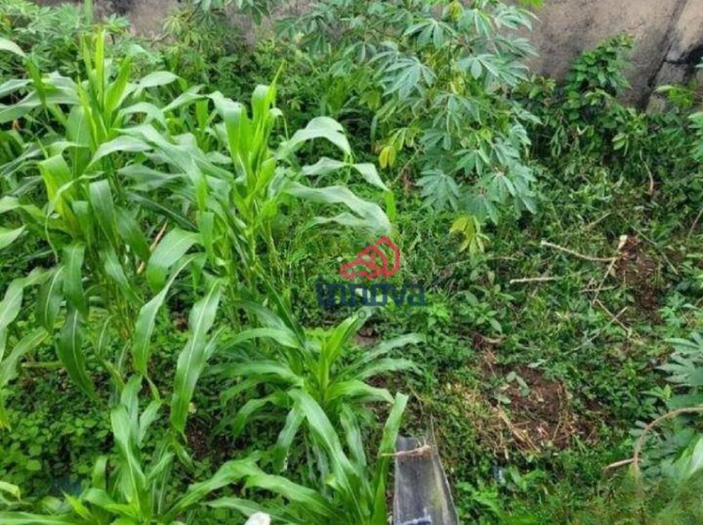Terreno, 200 m² - Foto 3