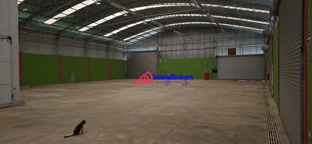 Depósito-Galpão, 1000 m² - Foto 3
