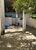 Casa, 3 quartos, 175 m² - Foto 8