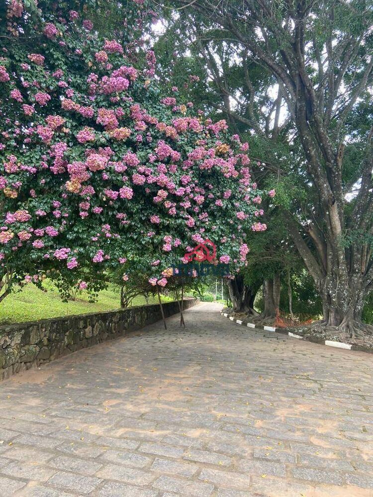 Chácara, 5 quartos, 7 hectares - Foto 2
