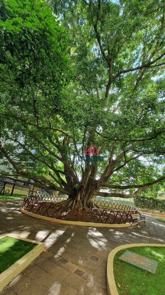 Apartamento, 3 quartos, 75 m² - Foto 33