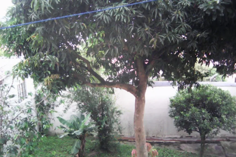 Casa, 2 quartos, 145 m² - Foto 4