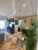 Apartamento, 3 quartos, 80 m² - Foto 11
