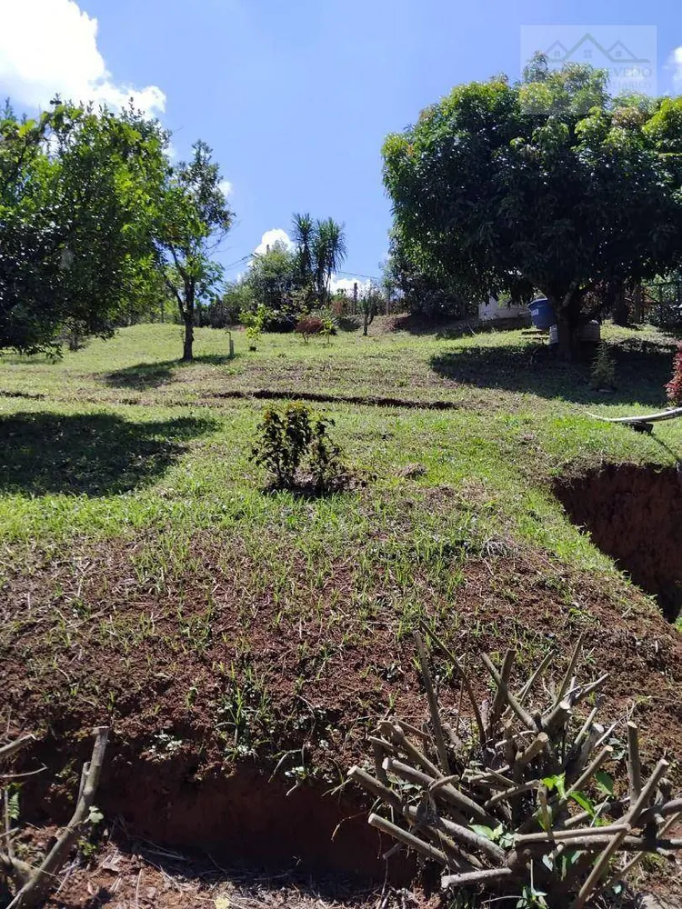 Chácara, 2 quartos, 2760 m² - Foto 6