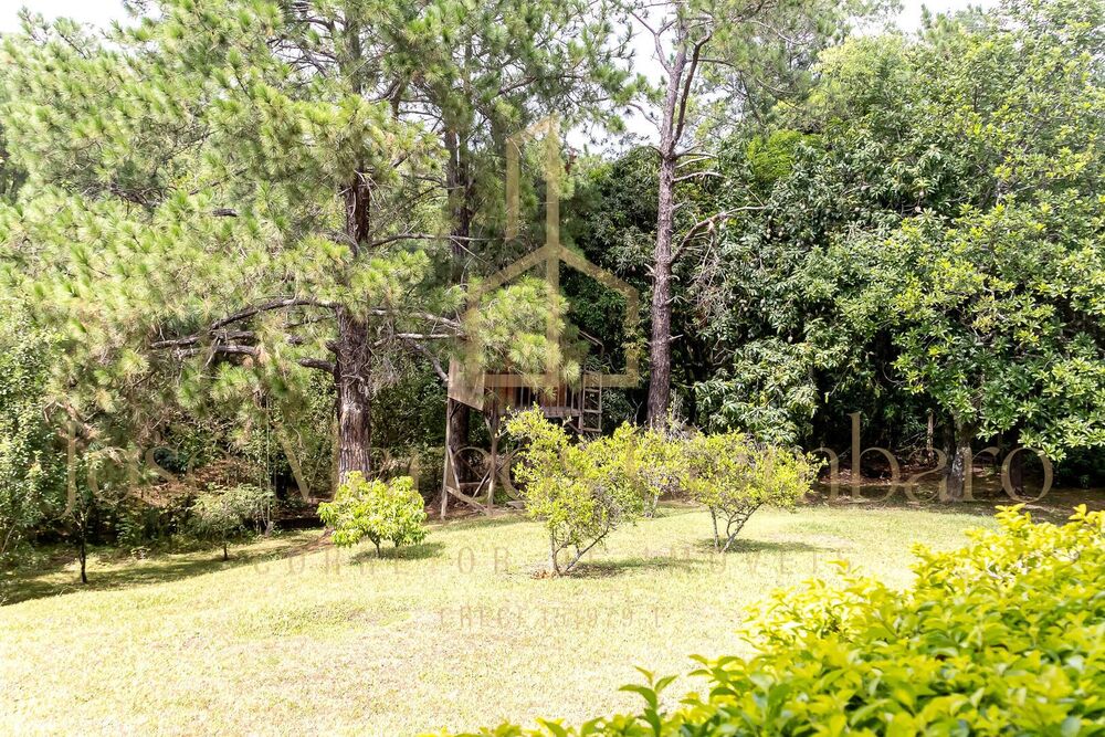 Chácara, 3 quartos, 2 hectares - Foto 10